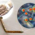 [Aggregator] Downloaded image for imported item #10771