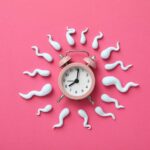 Ovo je tačna starost kada spermatozoidi gube na kvalitetu: Naučnici upozoravaju na rizik od genetskih mutacija zacece shutterstock 2366341659