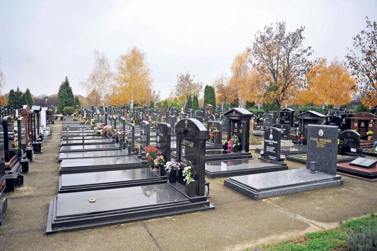 [Aggregator] Downloaded image for imported item #30136