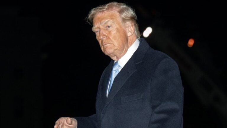 13514358 e1763373936743