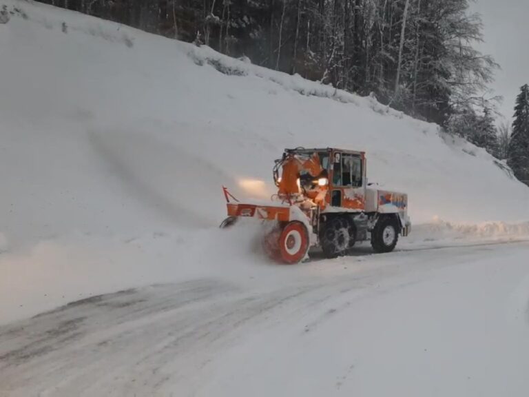 [Aggregator] Downloaded image for imported item #48523