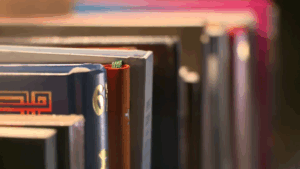 [Aggregator] Downloaded image for imported item #35501