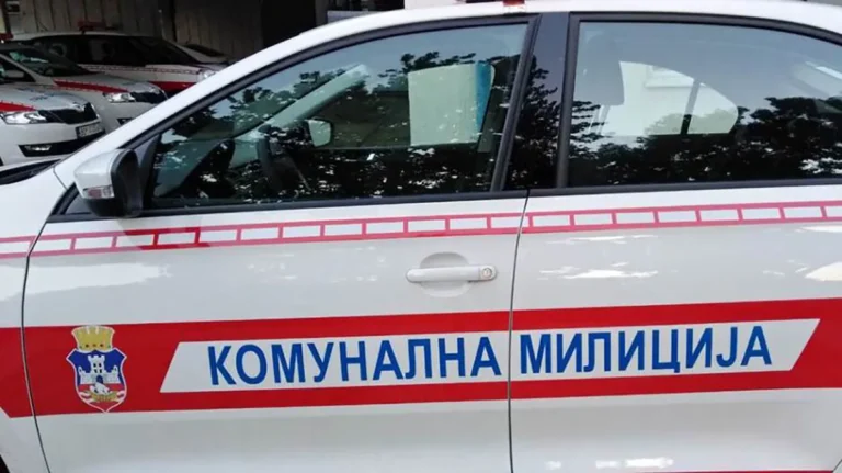 [Aggregator] Downloaded image for imported item #50595