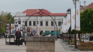 [Aggregator] Downloaded image for imported item #30801