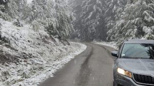 1759412494SNEG NV3 RINA