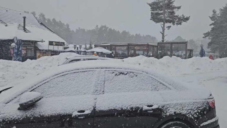 17635464321735909746 zlatibor sneg vejavica zastoji fotorina 6