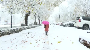 1763844292 sneg sarajevo.width 1200