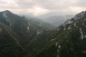 [Aggregator] Downloaded image for imported item #34172