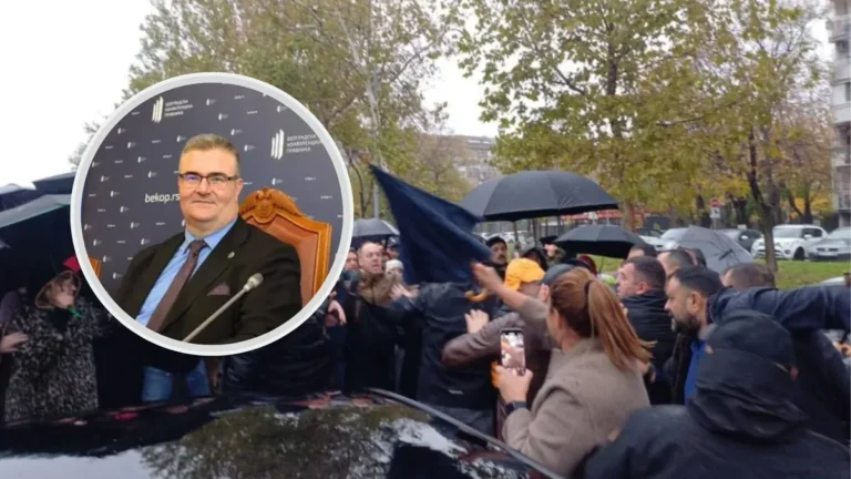 [Aggregator] Downloaded image for imported item #31618