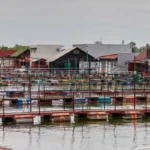 [Aggregator] Downloaded image for imported item #40619