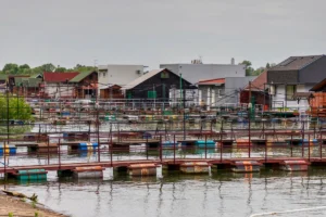 [Aggregator] Downloaded image for imported item #40619