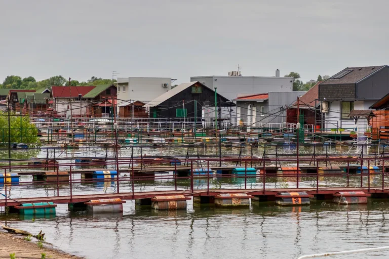 [Aggregator] Downloaded image for imported item #40619