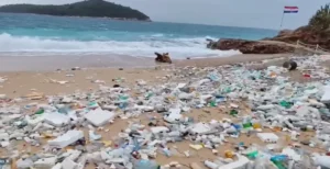 [Aggregator] Downloaded image for imported item #40607