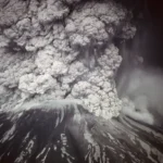 [Aggregator] Downloaded image for imported item #43618