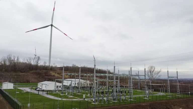 [Aggregator] Downloaded image for imported item #43598