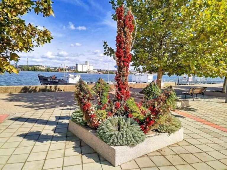 [Aggregator] Downloaded image for imported item #45509