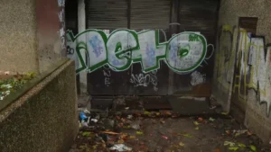 [Aggregator] Downloaded image for imported item #50341