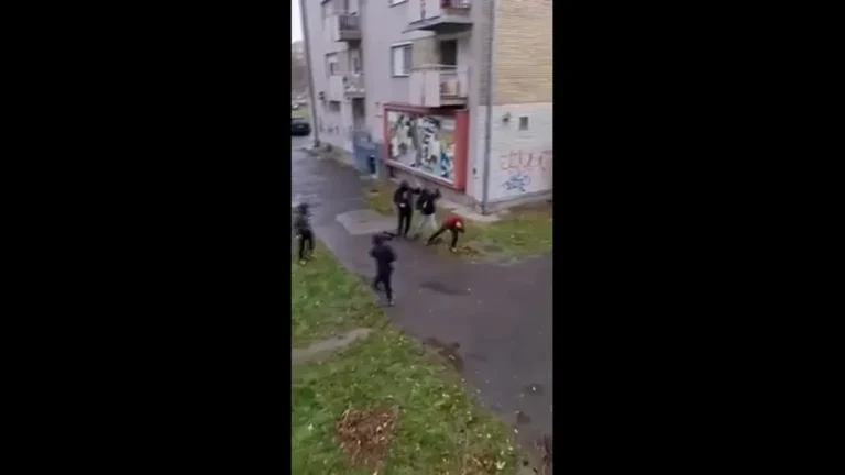 [Aggregator] Downloaded image for imported item #49588