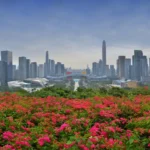 [Aggregator] Downloaded image for imported item #50631