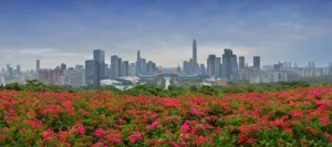 [Aggregator] Downloaded image for imported item #50631