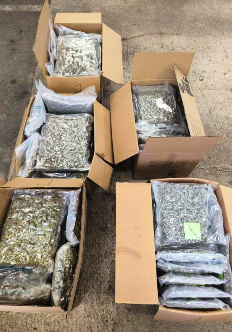 [Aggregator] Downloaded image for imported item #51243