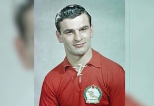 [Aggregator] Downloaded image for imported item #49939