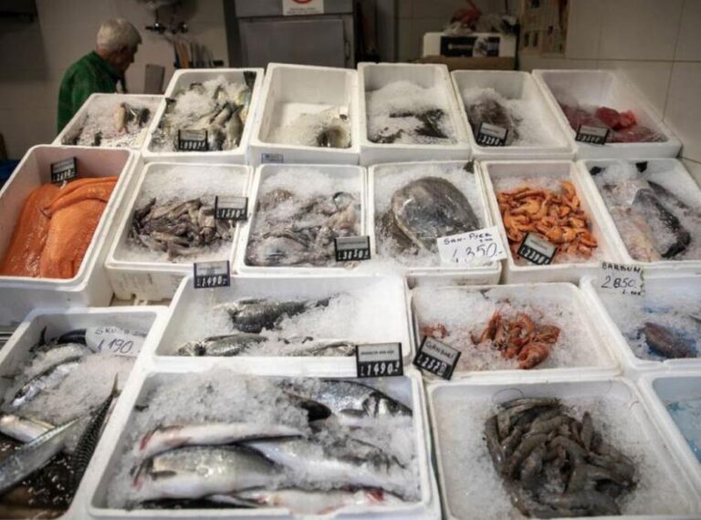 [Aggregator] Downloaded image for imported item #31980