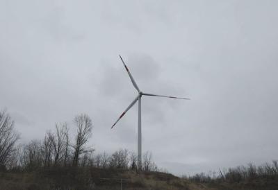 [Aggregator] Downloaded image for imported item #44273