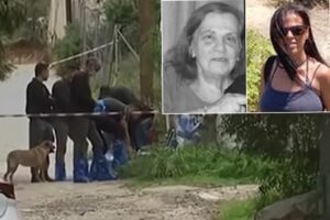 [Aggregator] Downloaded image for imported item #39628