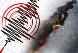 [Aggregator] Downloaded image for imported item #43115