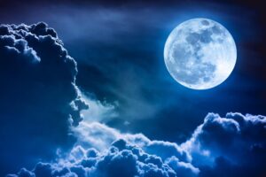 [Aggregator] Downloaded image for imported item #52221