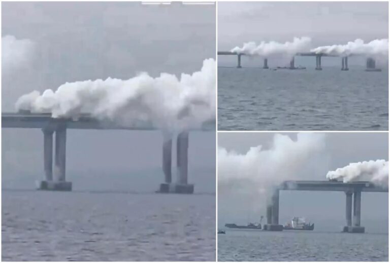 [Aggregator] Downloaded image for imported item #45603