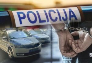 [Aggregator] Downloaded image for imported item #29566