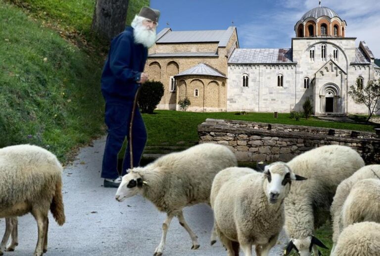 583334675 1389104126555160 6735678535498663861 n copy