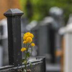 [Aggregator] Downloaded image for imported item #33203