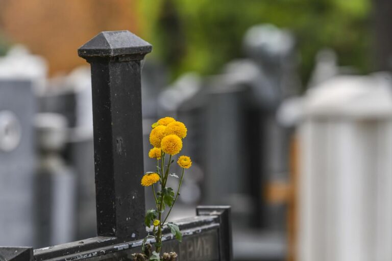 [Aggregator] Downloaded image for imported item #33203