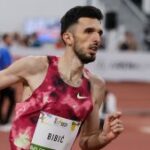 [Aggregator] Downloaded image for imported item #33516