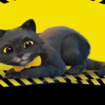 [Aggregator] Downloaded image for imported item #46060