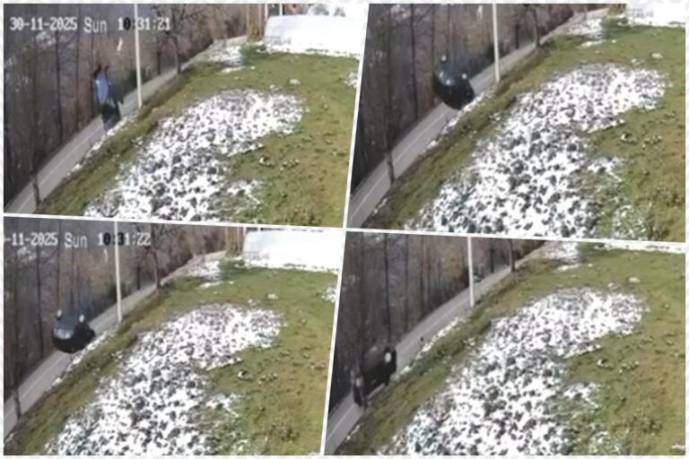 [Aggregator] Downloaded image for imported item #52358