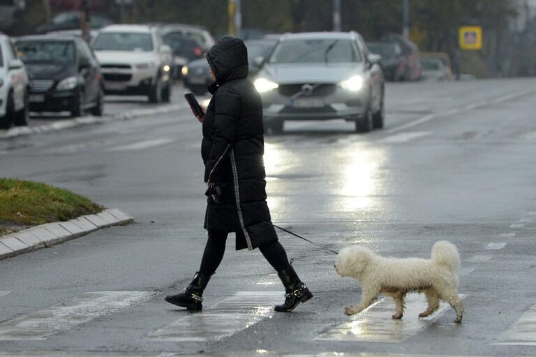 [Aggregator] Downloaded image for imported item #31743