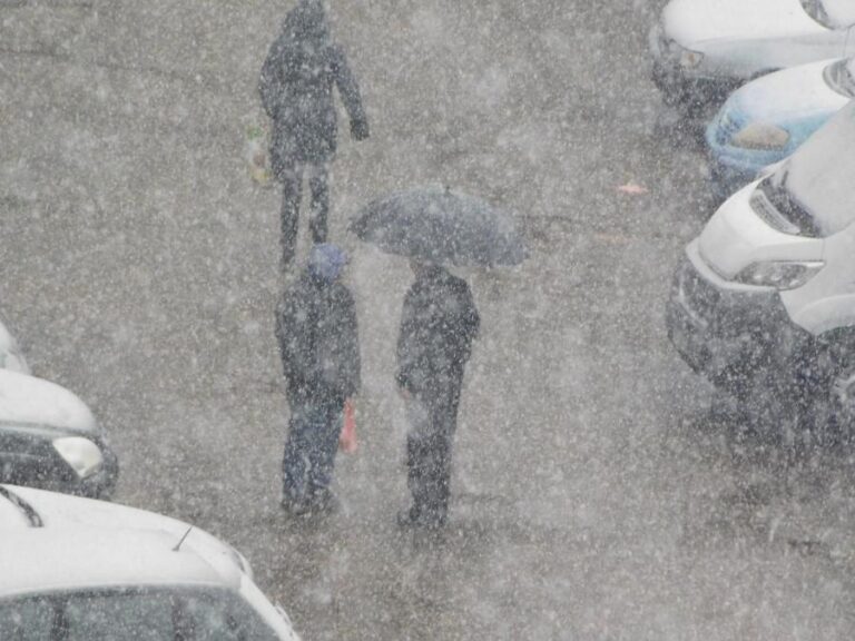 [Aggregator] Downloaded image for imported item #51080