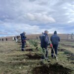 [Aggregator] Downloaded image for imported item #39788