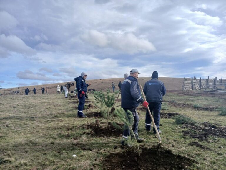 [Aggregator] Downloaded image for imported item #39788