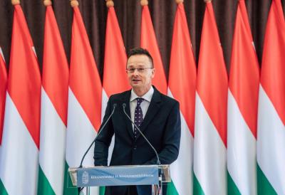 [Aggregator] Downloaded image for imported item #46512