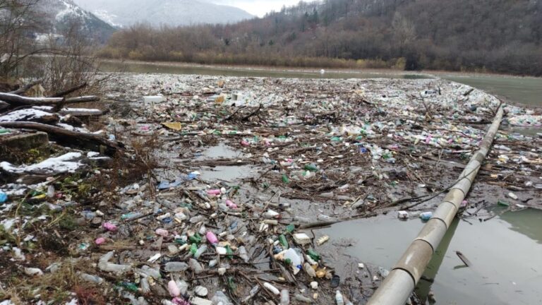 [Aggregator] Downloaded image for imported item #50380