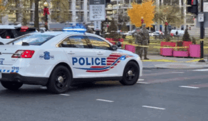 [Aggregator] Downloaded image for imported item #42593