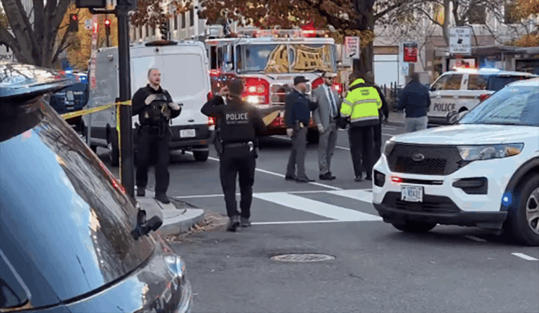 [Aggregator] Downloaded image for imported item #45607