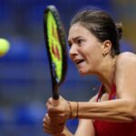 [Aggregator] Downloaded image for imported item #33378