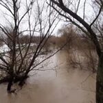 Screenshot 2025 11 20 133234