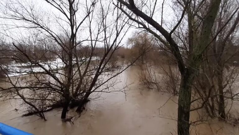 Screenshot 2025 11 20 133234